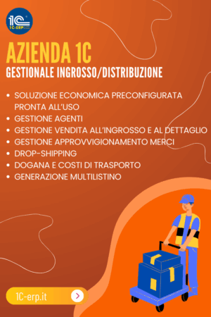 Gestionale Distribuzione/Ingrosso